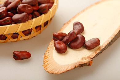 《网吧模拟器2》Steam现已发售 获得多半好评